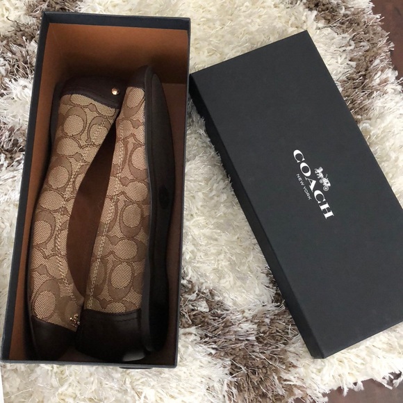 LAST SIZE 8 Coach Chelsea Signature khaki/chestnut - Picture 7 of 8